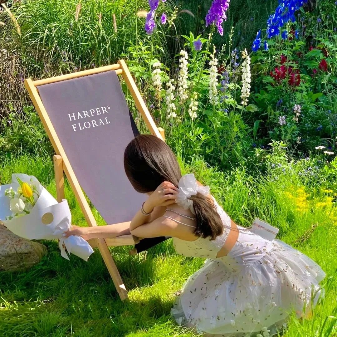 泰迦奥特曼剧场版：新生代之巅